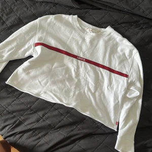 Levis tröja  - Använd 2 gånger, inga fläckar och ser nu ut 