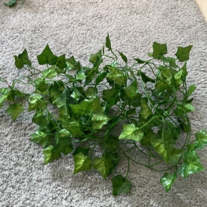 Växt på väggen - Plast växter som man kan dekorera på sin vägg väldigt populära skulle gärna viljat behålla de men jag har tillräckligt med sånna i mitt rum😅 5 stycken långa sånna vet inte riktigt vad man ska kalla de för💗