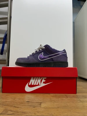💜NikeSB Dunk Low Purple Lobster💜  - Ett par skit snygga Purpel Lobsters. Dom har jätte mycket fina detaljer som det rutiga mönster på insidan. Dom är använde 2 gånger men det syns knappt (dom är jätte sköna!!!). Dom går för cirka 2500kr  i ny pris🔥🔥🔥 ⚠️LÅDAN INGÅR INTE⚠️