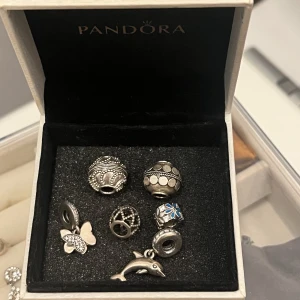 Pandora berlocker - Diverse berlocker från pandora, (funkar säker till armband som inte är från pandora) ,  säljs endast tillsammans! 