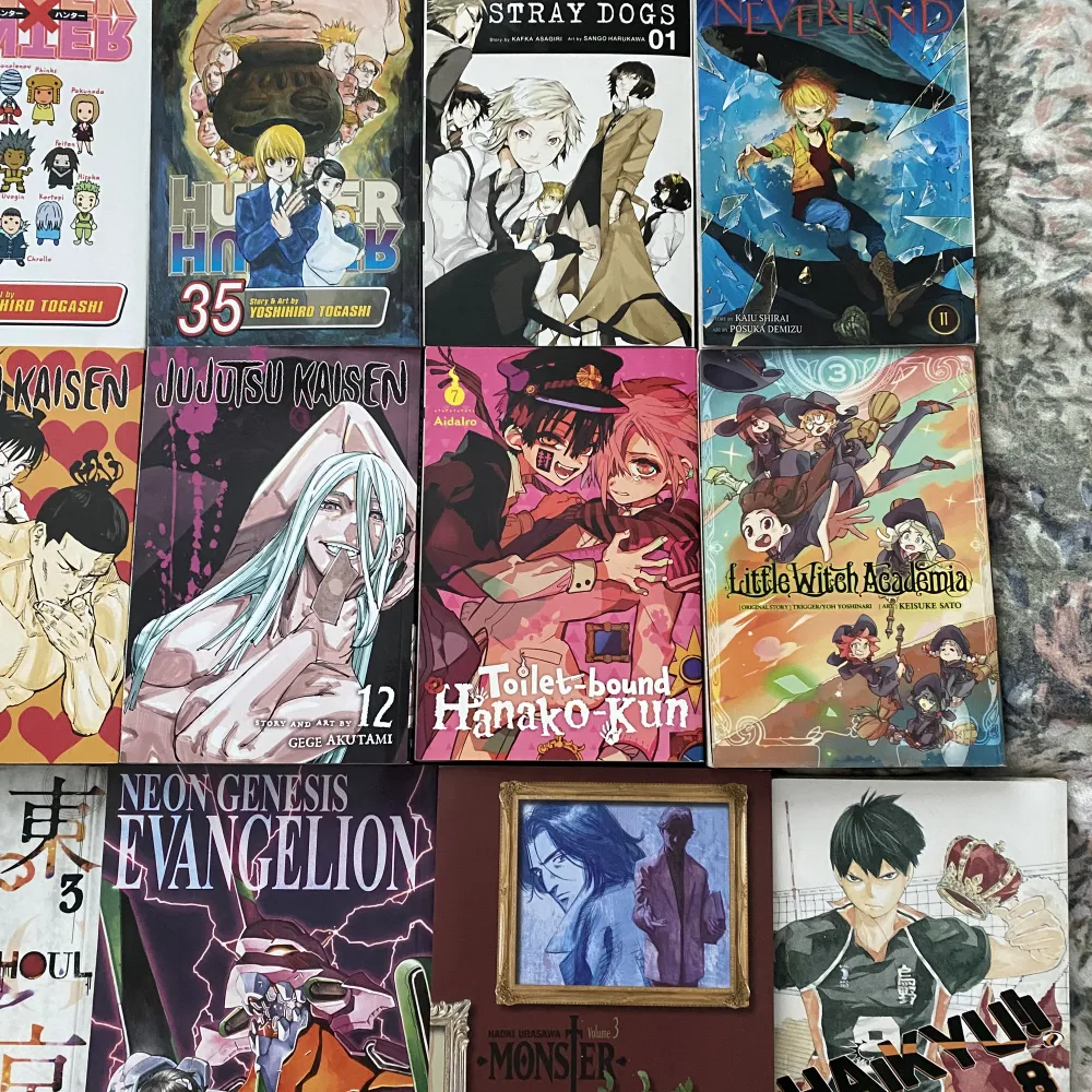 24 st manga böcker alla på engelska som neon Genesis evangelion, bungou stray dogs, chainsaw man, jujutsu kaisen och mycket mer . Övrigt.