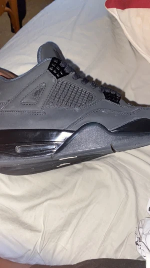 Jordan 4 - Jordan 4 Blackcats rätt så bra skick pris kan diskuteras 