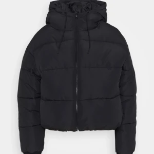 Jacka  - Vinterjacka dam från monki, knappt använd 