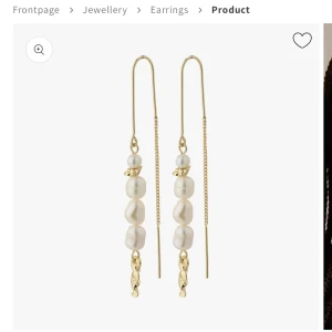 Pilgrim örhängen  - Säljer dessa jättefina örhängen från pilgrim då de ej kommit till användning! Aldrig använda därav nyskick. 👑 nypris 350kr