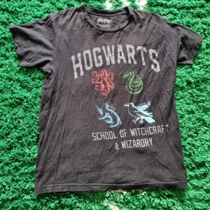 Harry potter tee - Harry potter tee med cool sne print. Sjuk nr9 vibe på tröjan. Mindre hål nere på baksidan av tishan som dock inte syns vid användning. Tröjan är i anvönt skick.