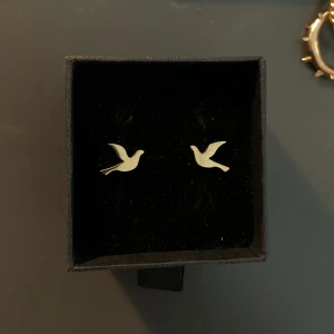 Edblad örhängen guld - Knappt använda, guld