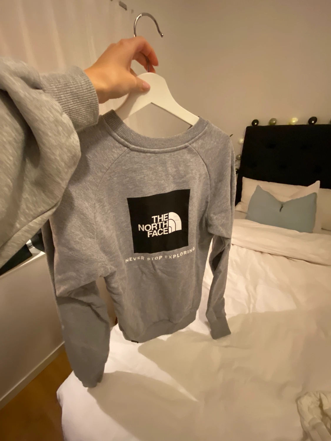 The north face sweatshirt grå 