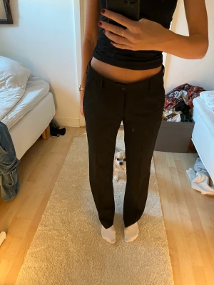 Kostymbyxor  - Lågmidjade kostymbyxor från tiger of Sweden!