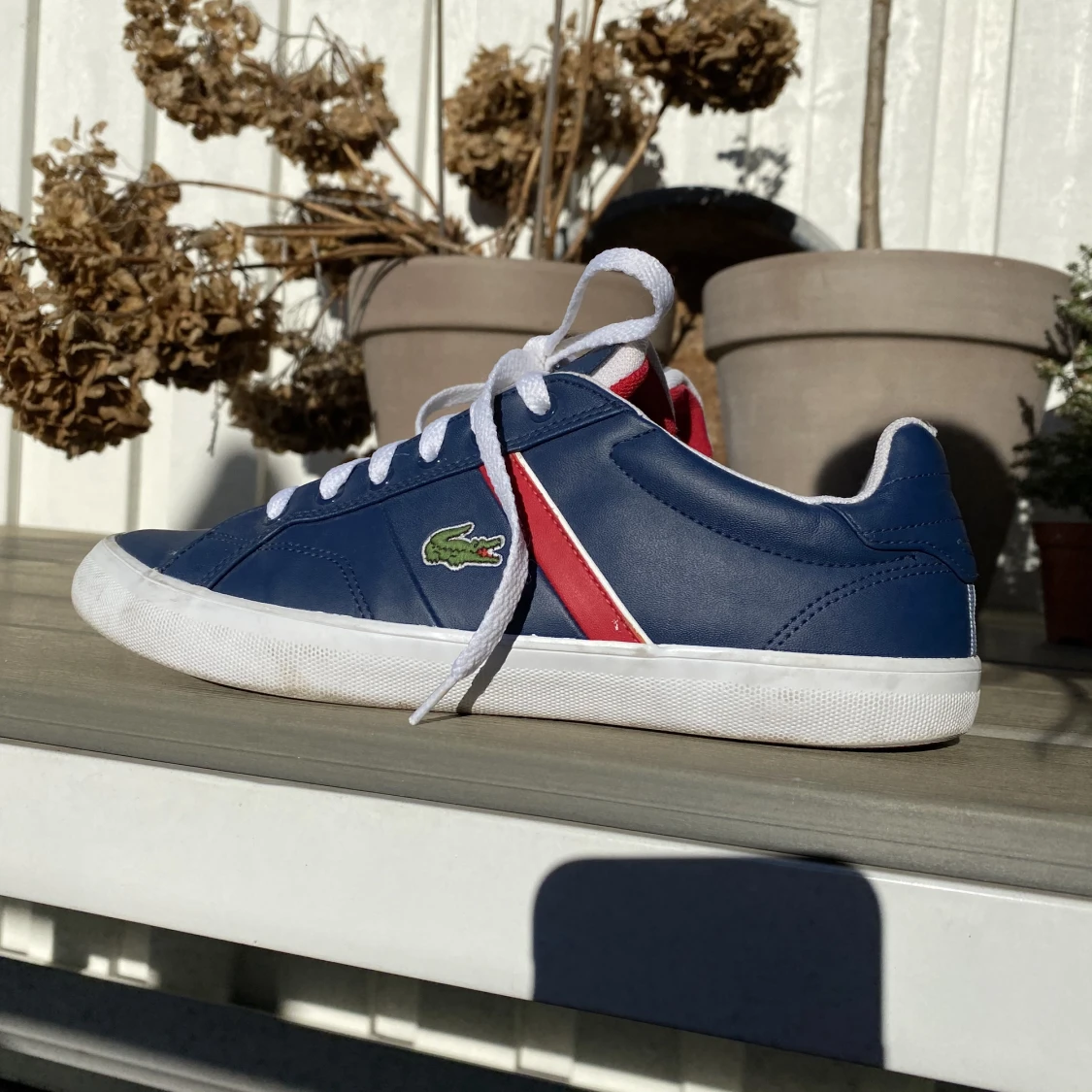 Mörblå Lacoste sneakers st 38