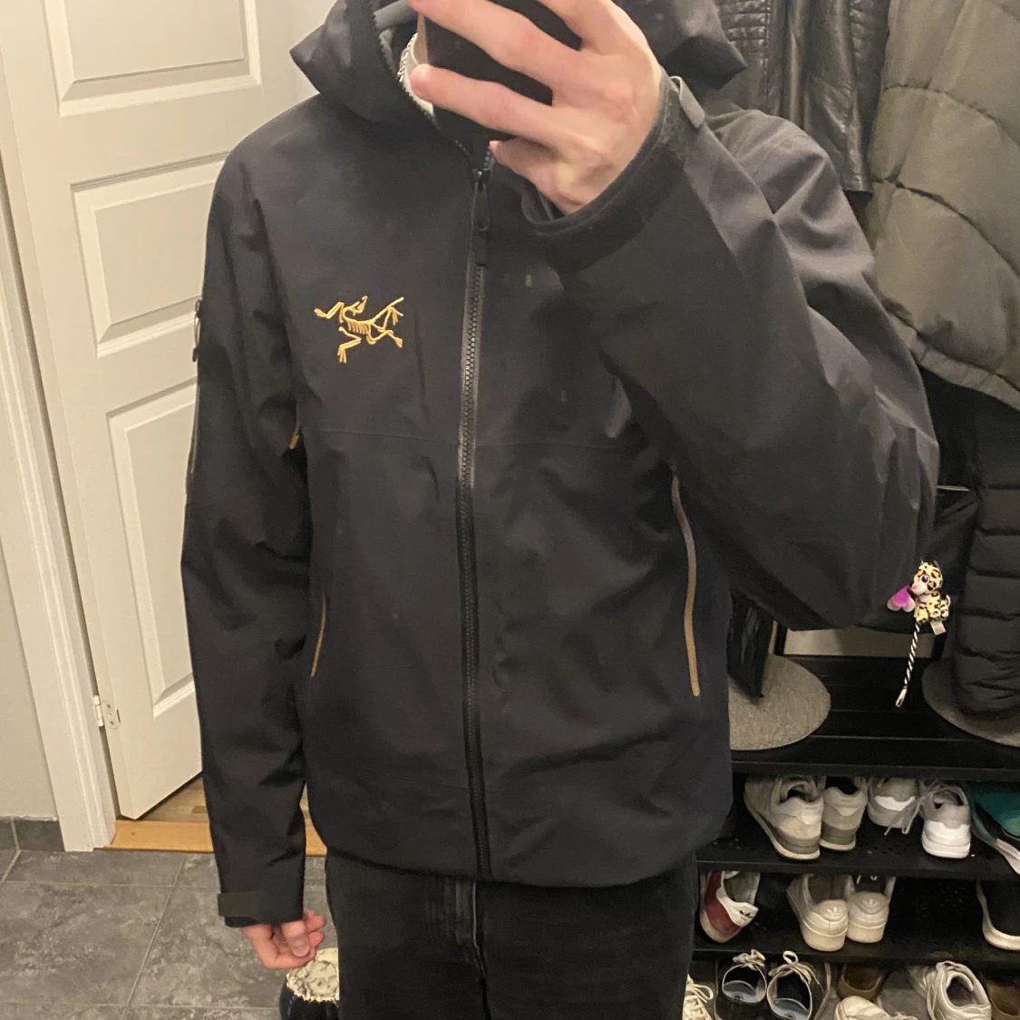 Arcteryx SABRE AR