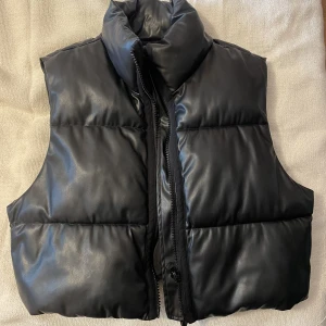 skinnväst från zara - poppilär skinnväst i perfekt skick från Zara (slutsåld). strl L men passar mig som har S nypris: 599 kr