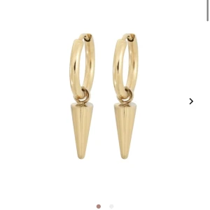 örhängen - säljer mina nya edblad örhängen då jag insåg att dom inte passade. helt oanvända och därför säljer jag för orginalpris!💕hör av er! 