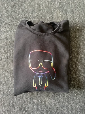 Tröja Karl Lagerfeld - En Karl Lagerfeld tröja. Bra skick. En liten skada innanför tröjan (bild 2). Lite relaxed passform🙌