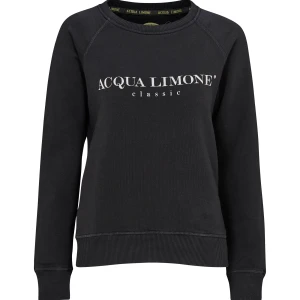 Sweatshirt - Säljer 2 stycken tröjor en svart och en ljusblå. Båda är i storleken xs men skulle säga att dom skulle passa en storlek S oxå. Inga hål eller fläckar även om dom är något år. 200 för en 350kr för båda:)