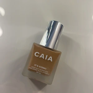 Foundation  - Caias foundation i färg 3N, har endast pumpat en gång för att se färgen men den matchade tyvärr inte mig