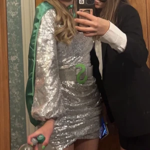 Super snälla silver Sara halloween utklädnad - Klänningen är från BooHoo i storlek 36. Mantel och skärp frpn partykungen men S’et är ditsatt. Allt är bara använt en gång❤️