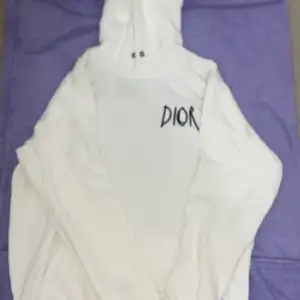 Fakead Hoodie från Dior  Säljs pga för liten och använder inte så ofta💞 Priset kan diskuteras!!💬💞 ⚠️OBS⚠️ Tröjan är lite tung.
