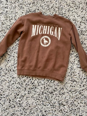 En super fin brun tröja! - En super fin brun tjock tröja! Den perfekt till häst älskare.