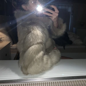 Pälsjacka från zara  - Helt ny pälsjacka från zara i storlek L men är ingen i storleken, i perfekt skick ❤️