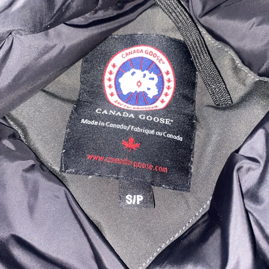 Canada goose  - 90