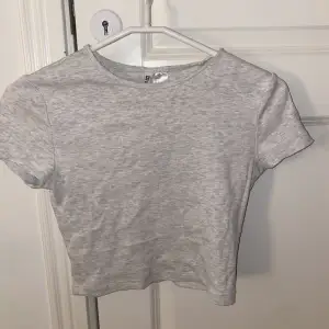 En helt vanlig kort grå t shirt som jag köpte till sommaren, tyckte dock den va för kort så har aldrig använt den. Helt oanvänd!🤍🤍