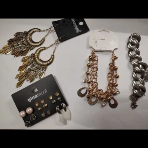Smycken i Nyskick  - Örhängen och  armband i Nyskick Aldrig använd 