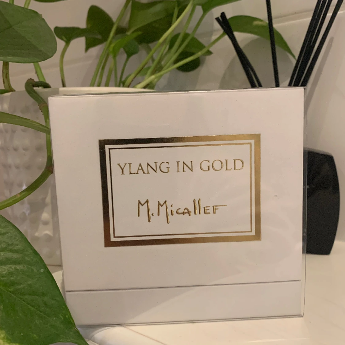M.micallef Ylang in gold - 91