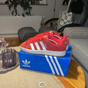 Säljer mina campus 00s eftersom att jag inte använder dom längre. Köpte dom i butik så de är 100% äkta. Box medföljer och även extra skosnören. Priset kan diskuteras vid en snabb affär 💲👟