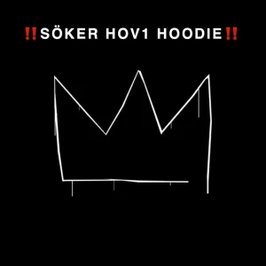 ‼️Söker hov1 hoodie‼️  - Helst i stolek M-XXL  