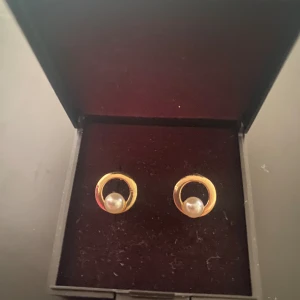 Guldiga pärl-örhängen - Guldiga pärl-örhängen