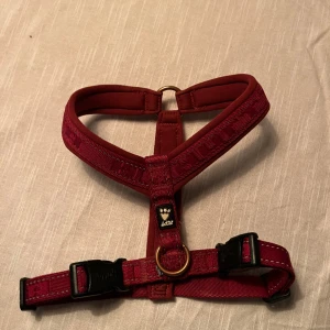 Hurtta casual y-sele - Nästan nyskick, storlek 45-55 cm. Passa lite större dvärgschnauzer. Nypris: ca 350 kr. Säljer även matchande koppel