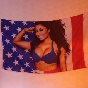 Nicki Minaj flagga - Säljer pga att jag ska göra om mitt rum den passar inte, bra skick 