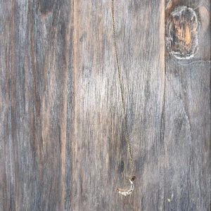 Månörhänge - Kedja med måne. Väldigt fin och behöver ingen plupp.