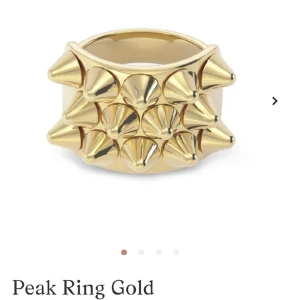 Edblad ring  - Edblad ring storlek 18,5 fortfarande jätte bra skick, ny pris 399, säjer för 300 men pris kan diskuteras vid snabb affär 💓