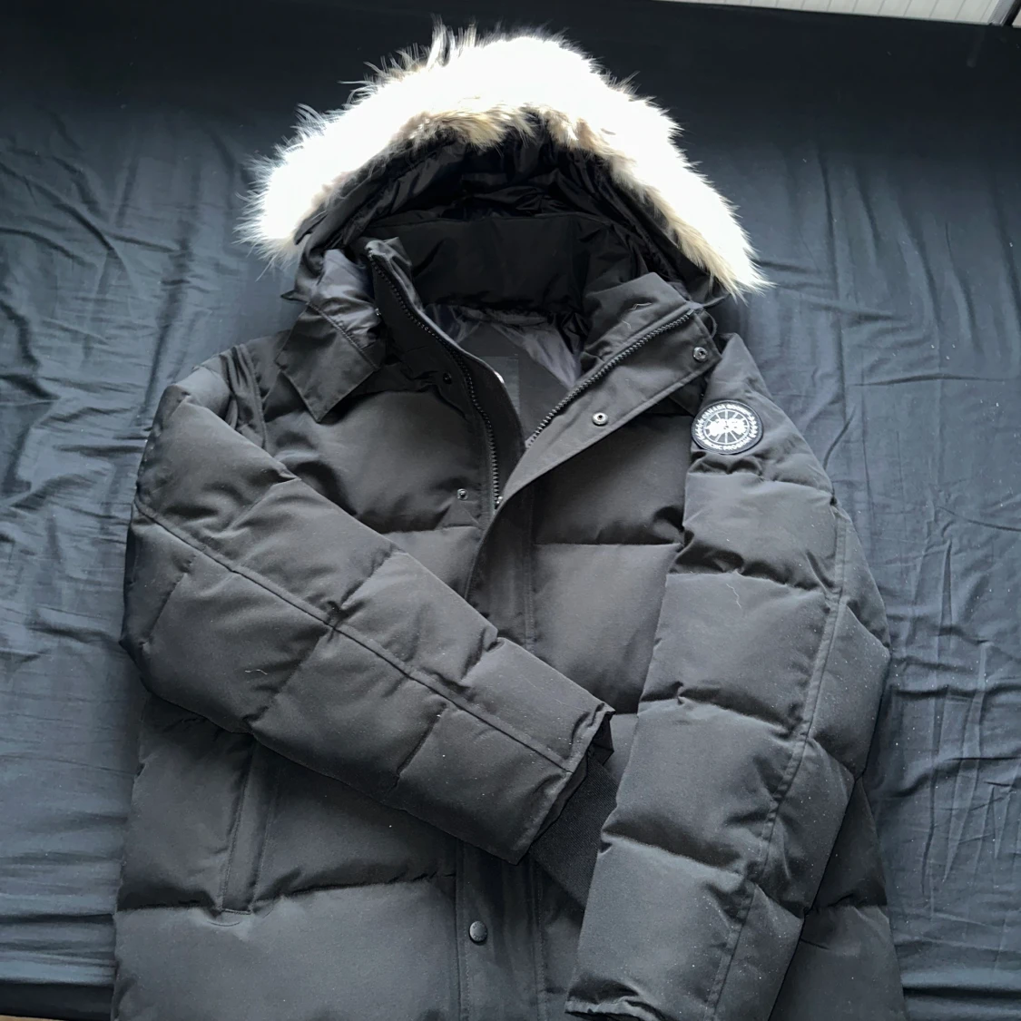 Canada goose whyndham 