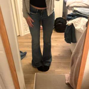 Jätte fina bootcut zara jeans som inte ör mycket använda💕 Jag är 170 cm