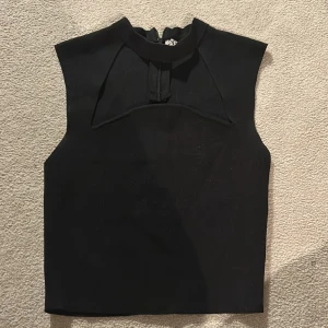 Zara topp - Väldigt bra Skick jätte snygg topp man kan ha när man är med vänner 