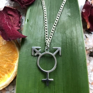 Transsymbol smycke - Transpersoner kan vara både binära och ickebinära. Detta är en otroligt förtryckt minoritet. Tillsammans värnar vi om transpersoners rättigheter! (Ps. Finns också som örhängen!)