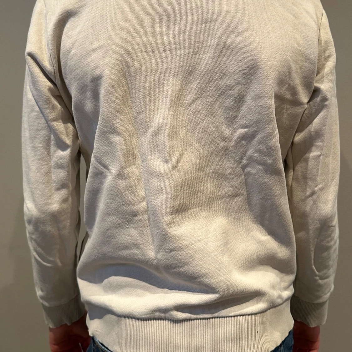 Sweatshirt/crewneck - 91