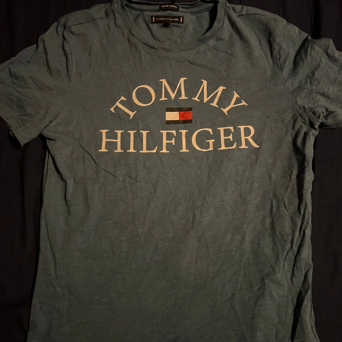 Tommy Hilfiger t shirt