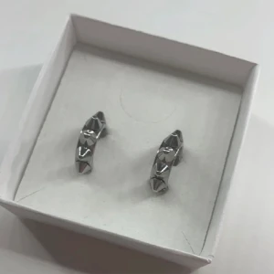 Edblad örhängen  - Super fina örhängen från Edblad!💕