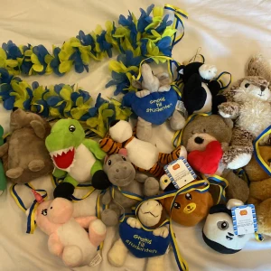 Student leksaker - Köpte 2023 när jag tog studenten, bra skick, allt för 80 kr 