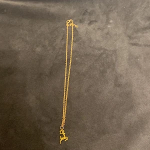 Halsband - I bra skick aldrig använd. Säljer då det inte är min stil❤️