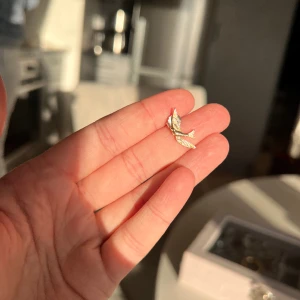 Örhänge fåglar  - Örhänge två fåglar 