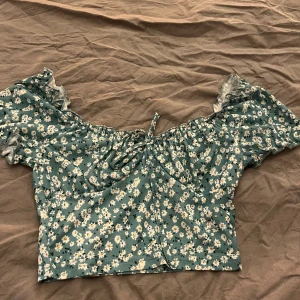 Topp - Grönare i verkligheten 