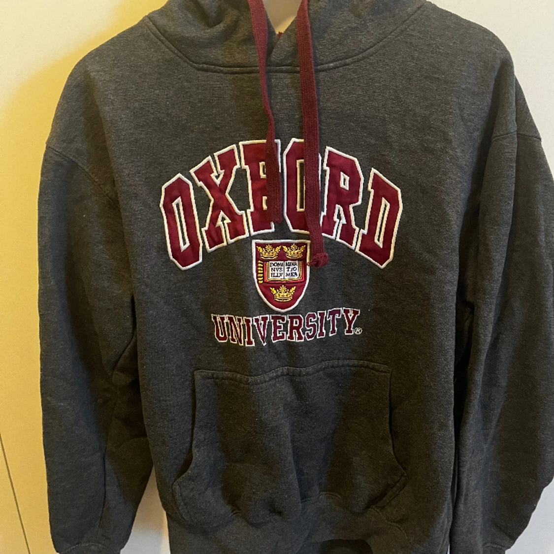 Oxford hoodie