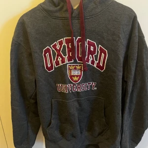 Oxford hoodie - Passar M
