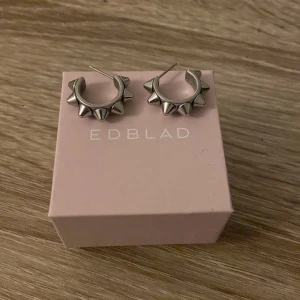 Örhängen Edblad  - Säljer dessa örhängen från Edblad då jag bytt till guld smycken, bra skick, nypris 399, pris kan diskuteras vid snabbaffär 