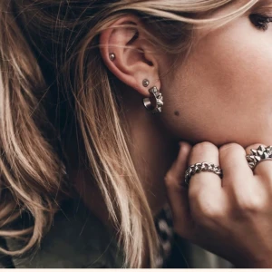 Edblad silver öronhänge  - silver öronhängen från Edblad ❤️skriv till mig om ni är intresserade ❤️ vi diskuterar pris mellan 250- 300 ❤️❤️ 