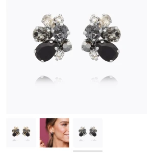 Öronhängen  - Säljer dessa öronhängen pga att de inte kommer till användning! Dom är endast använda 2 ggr och har inga defekter! Original pris 795kr.